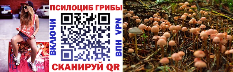где найти Калининград Псилоцибиновые грибы мицелий