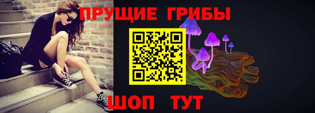 Калининград  закладки  Вход с VPN  Галлюциногенные грибы прущие грибы 