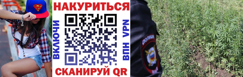 МАРИХУАНА конопля  Калининград 